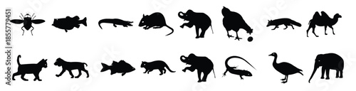 pack of jungle animals avatars solid icon vectors
