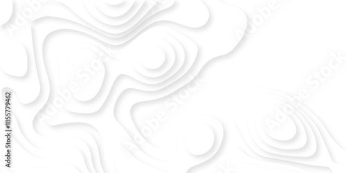 Abstract white papercut luxury diamond creative technology background. vector natural shadow papercut web topography map spiral line origami wave business texture.