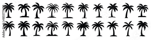 Palm tree vector silhouette collection