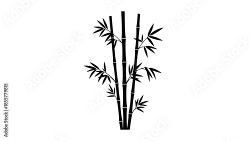 Elegant bamboo silhouette with leaves on a white background.