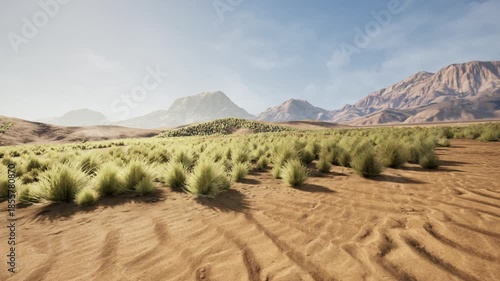 A vast desert terrain features overgrown low bushes with stunning mountains in the background under a bright blue sky.