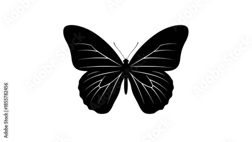 Black butterfly silhouette with detailed wings on white background.