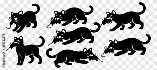 Bold black cat silhouettes showing hunting behavior with captured mouse, featuring walking, jumping, crouching, and sitting poses in clean vector style on transparent background.