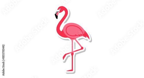 Stylish flamingo vector illustration with vibrant colors against a clean white backdrop and clear