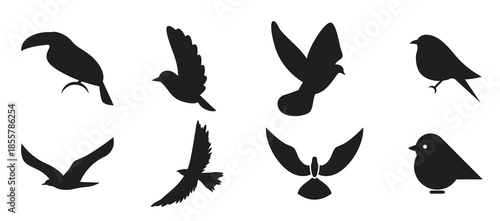  set of isolated icons on a theme birds
