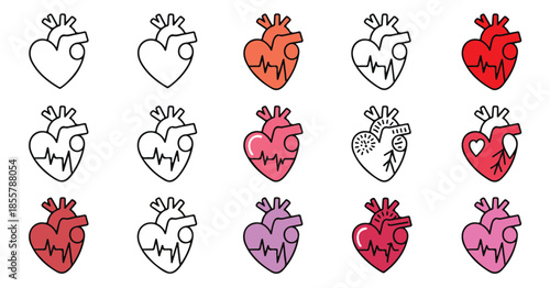 Human heart with electrocardiogram line icons set colorful anatomical organ with pulse rate