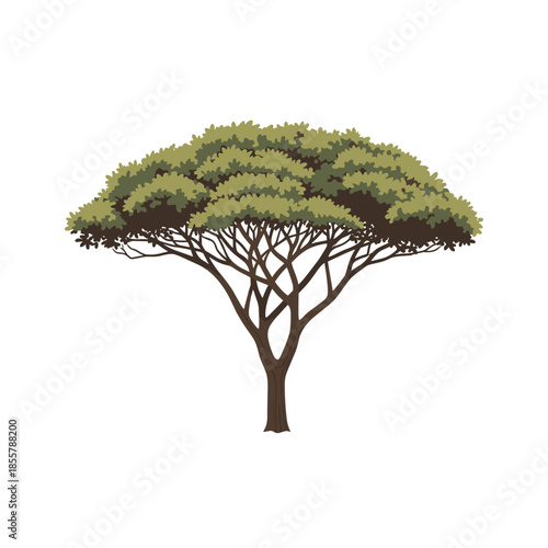 Stylized tree illustration with a wide canopy and detailed branches on a neutral background