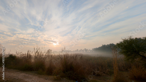 A peaceful rural sunrise highlights the silhouette of a lone tree against a backdrop of colorful, scattered clouds and low fog.