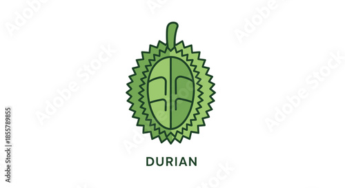 Minimalist Durian Fruit Illustration with a Green Palette and Simple Design for Food and Nature