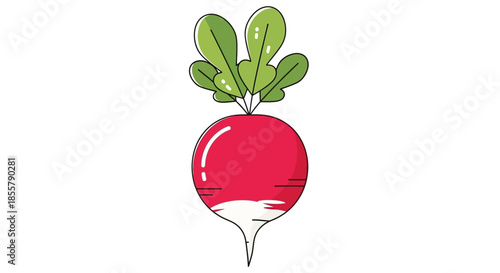 Cute Digital Illustration of a Radish with Green Leaves and White Root