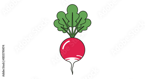 Minimalist Illustration of a Radish with Green Leaves and Red Root for Fresh Vegetables Design