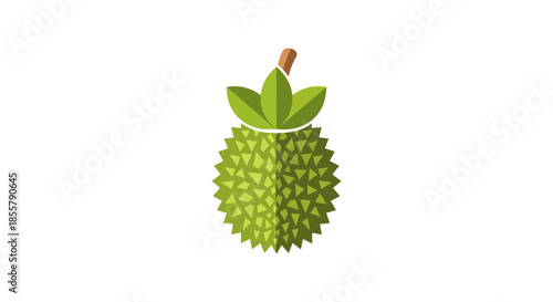 Stylized durian fruit illustration with spiky green outer shell and leaves on top