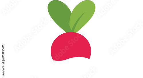 Simple and Bright Radish Illustration with Green Leaves and Red Root