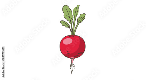 Illustration of a Fresh Radish with Green Leaves and Tiny Roots on a White Background
