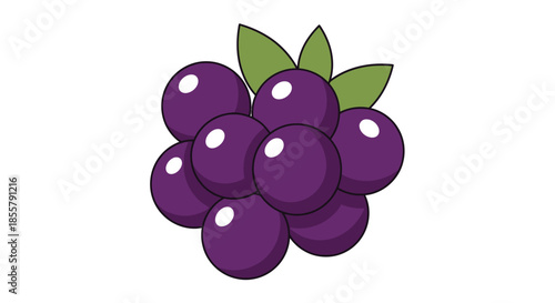Cartoon Illustration of a Bunch of Purple Grapes with Green Leaves on a White Background