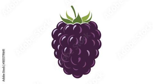 Stylized illustration of a ripe blackberry with green calyx on a white background