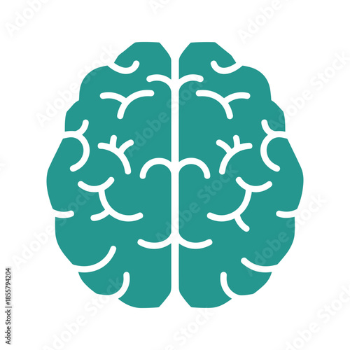 Brain Illustration Vector