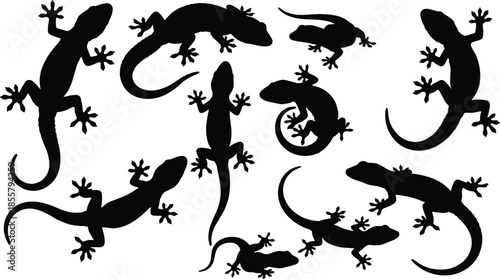 Black gecko silhouettes collection, lizard reptile poses, crawling climbing animals, isolated vector illustration, wildlife nature design set, icons, art, graphic