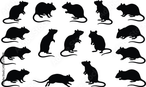 Black rat silhouettes collection, rodent animal poses, running standing sitting mice, isolated vector illustration, wildlife pest design set art icons