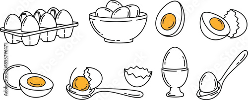 Eggs in Various Forms and Preparations egg raw cooked fried hard boiled