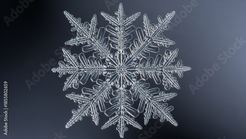 A delicate, six sided, transparent snowflake with intricate patterns on a dark background, showcasing natural crystal formation