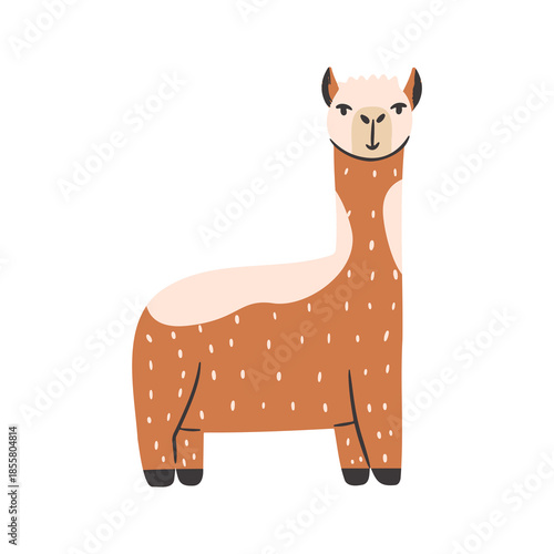 Cute kids alpaca illustration. Vector friendly animal in hand drawn style.  