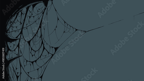 Intricate black spider web on dark background, eerie atmosphere