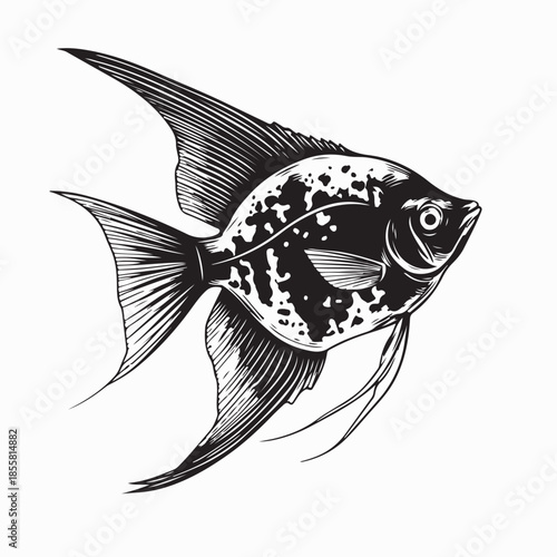 Angelfish clip art preview