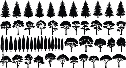 Black tree silhouettes collection, forest and nature icons set, pine oak cypress shapes isolated on white background vector illustration design