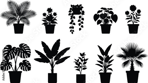 Indoor houseplant silhouettes collection potted tropical plants, black vector icons set isolated on white background illustration minimal modern botanical design