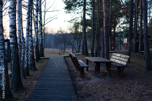 Wooden boardwalk path in mixed forest with birch trees and picnic table with benches