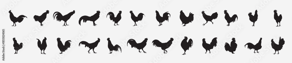 Fototapeta premium roosters silhouettes set 