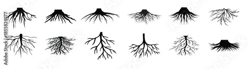 root vector icon set tree illustration sign collection