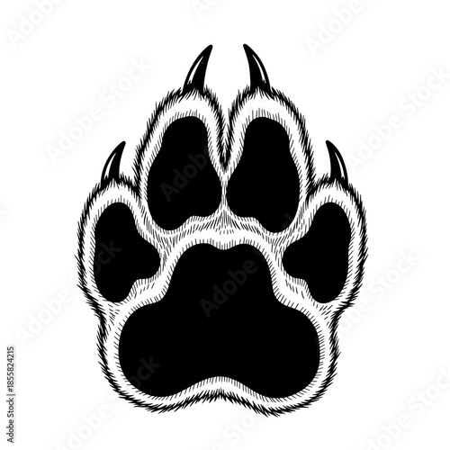 Striking white sketch style wolf or bear paw print emblem featuring sharp claws and textured outline isolated on a stark black background perfect for wildlife design concepts.