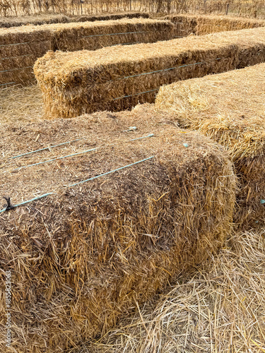 Stacked hay bales in open field sunlight