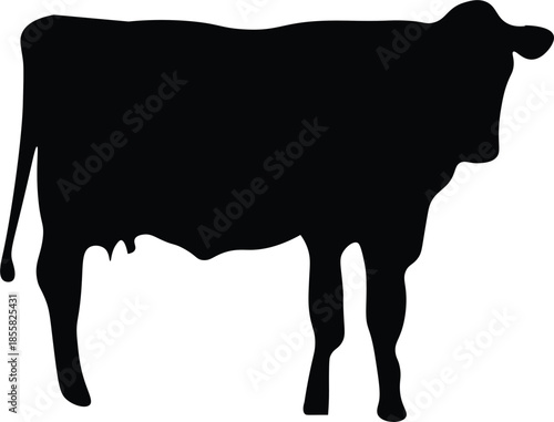 Cow silhouette vector. Cow black vector icon. Vector illustration.