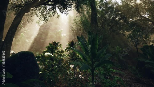 Sunlight pierces through a dense canopy in a lush forest at dawn, illuminating vibrant vegetation and creating a serene atmosphere that invites exploration and connection with nature.