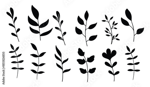 Set of plant vector illustration