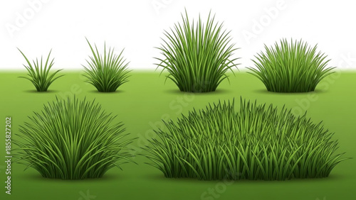 Six different green grass clumps on a lawn with white background, various foliage textures and shapes, natural scenery elements