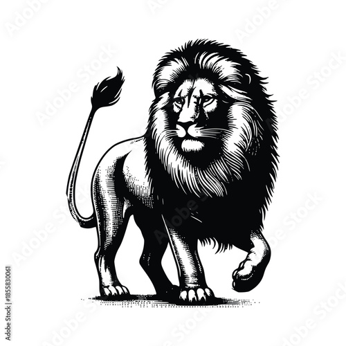 Walking Lion Illustration, Black and White Animal Graphic, Regal Lion Vector