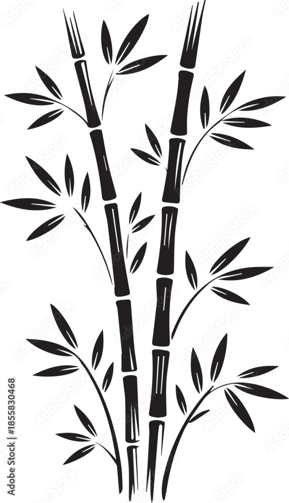 Fototapeta premium Detailed vector illustration of a bamboo tree created in adobe illustrator