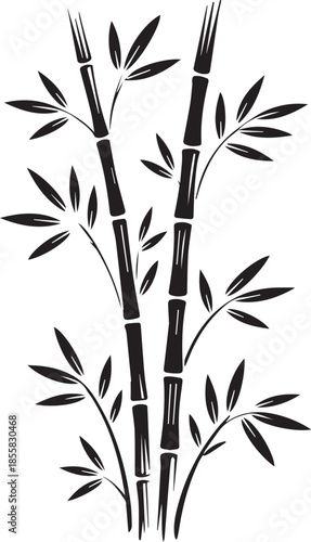 Detailed vector illustration of a bamboo tree created in adobe illustrator