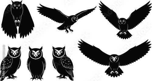 isplaying various poses including flying and perched nocturnal birds for wildlife, education, logo design, and branding projects.