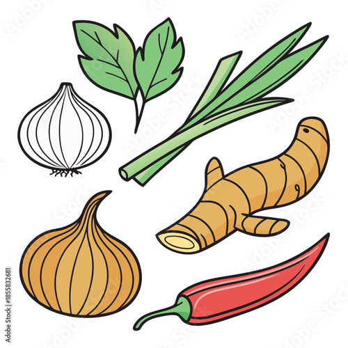 Hand drawn collection of spices and vegetables, ginger, garlic, onion, chili and herbs, vector illustration of food ingredients