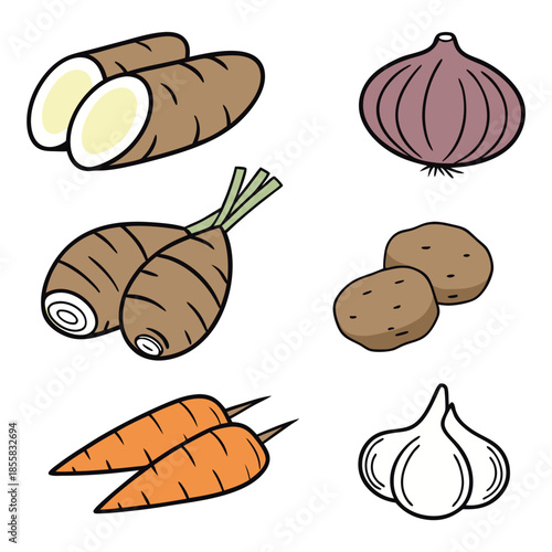 Hand drawn set of root vegetables, cassava, taro, carrot, potato, onion and garlic, isolated vector illustration of healthy food