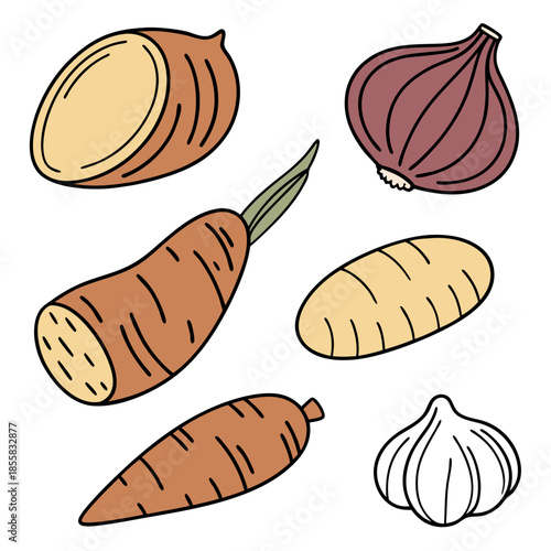 Set of fresh root vegetables, onion, garlic, potato and carrot, hand drawn vector illustration of organic farm food