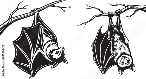 Black and White Bats Hanging on Tree Branch Illustration Set