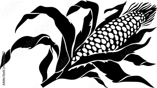 Monochromatic Corn on the Cob Illustration with Leaves. Graphic Vector Art for Harvest, Agriculture, Food, or Farm Concepts.