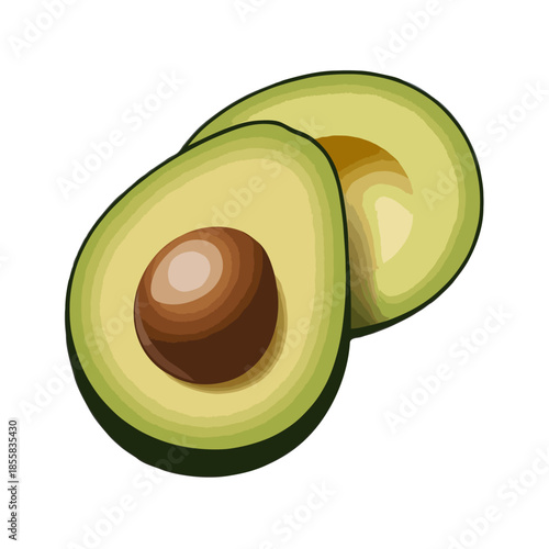Freshly cut avocado half Vector