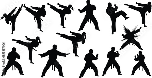 Karate silhouette vector set, martial arts fighters performing high kicks, blocks, and attack impact poses, dynamic male and female athlete icons, isolated training and combat graphics.